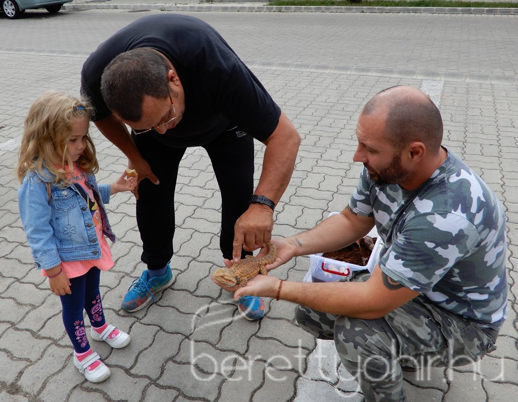 10 éves a Pethouse állatorvosi rendelő 07